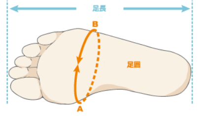 足長・足囲とは